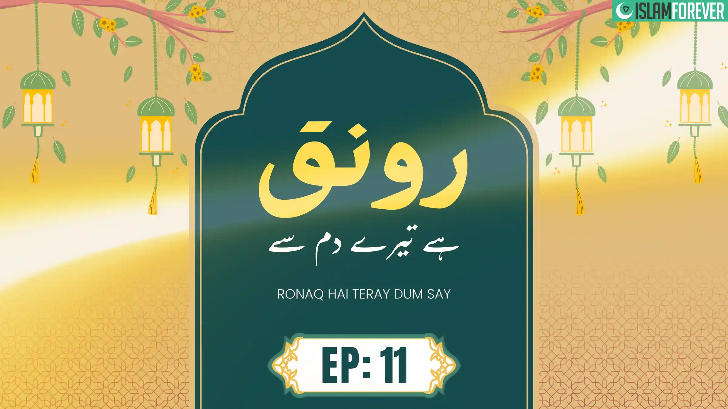 Ronaq Hai Tere Dam Se | Episode 11